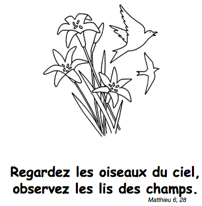 screen-shot-2017-02-25-at-7-39-24-am